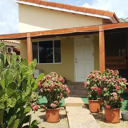Bubali Studio Palm Beach Eksteriør billede